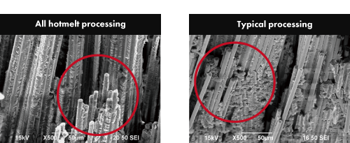 Vertical section comparison (x500)