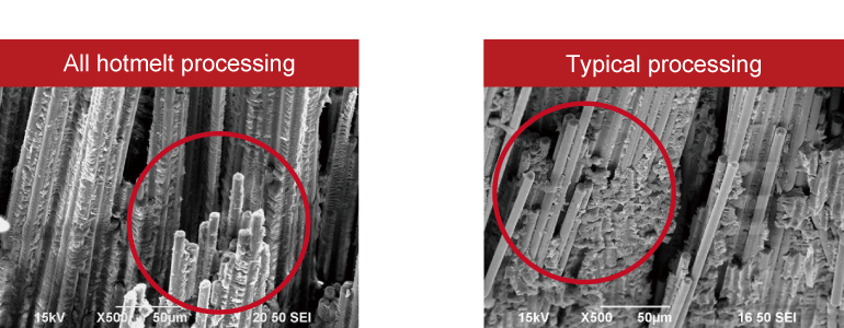 Vertical section comparison (x500)