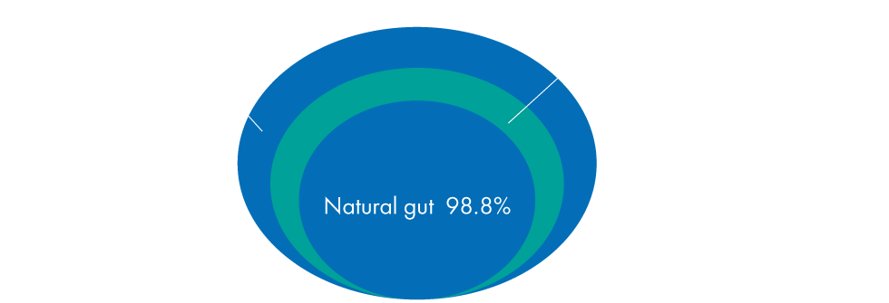 Elasticity recovery rates of strings with a stress of 60 lbs.(approx. 28kgs) imposed for 24 hours.AK PRO 99.3%,Standard mono-filament string 99.0%,natural gut 98.8%.